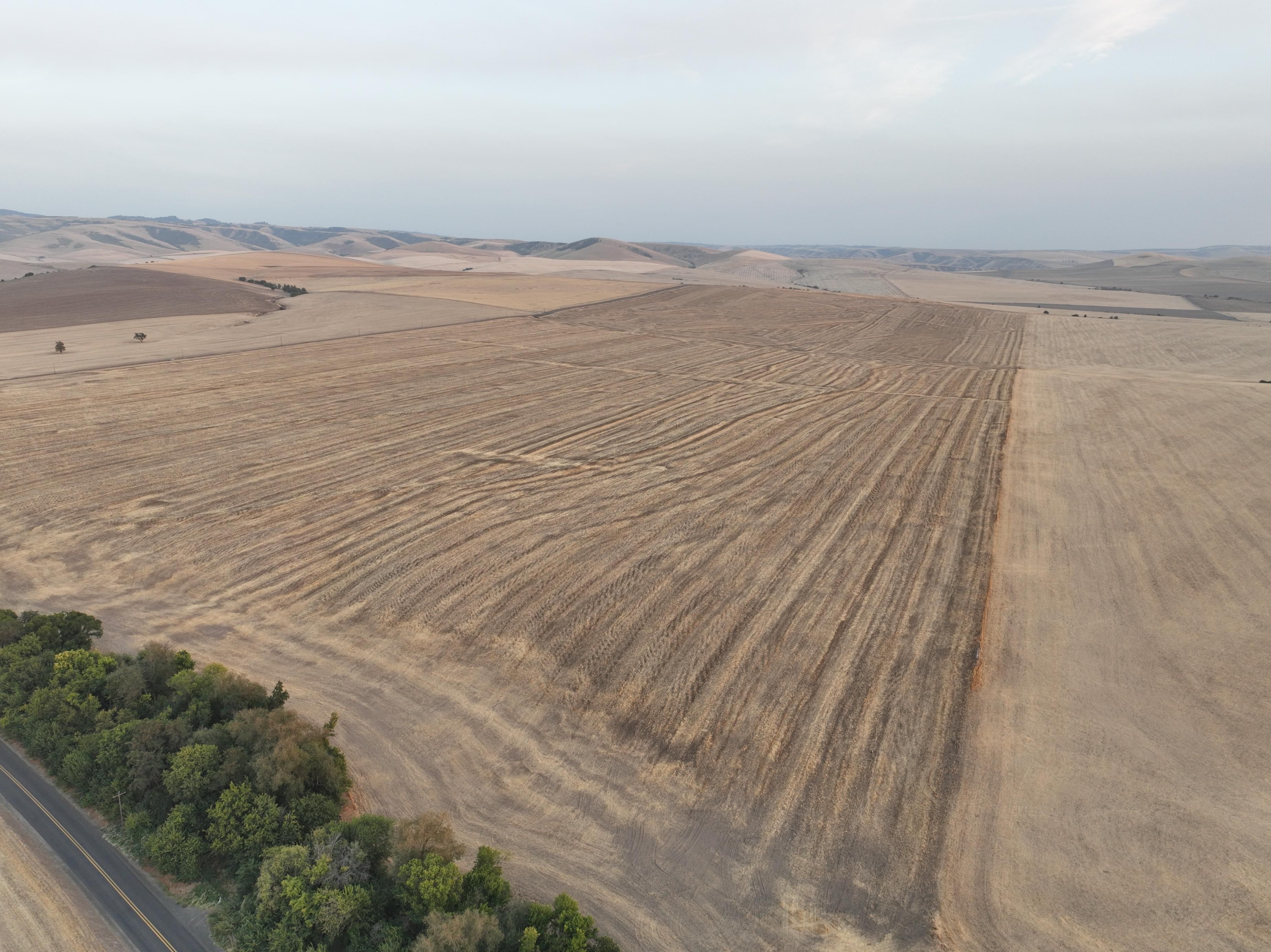 Listing Photo: Umatilla-County-Oregon-Non-Irrigtated-794-Acres (4)